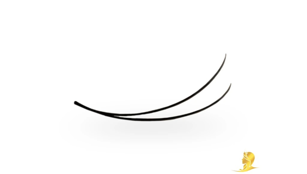 Luxury Lashes Prémium Hotové Vejáriky sypané 1000ks, 2D/0,10/D/Mix