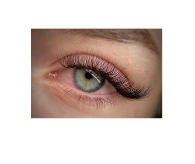 Luxury Lashes Prémium Hotové Vejáriky sypané 1000ks, 4D – Obrázok 4